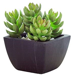 Flori artificiale Casa Masa Sedum în ghiveci 10x14 cm