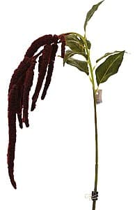 Искусственные цветы Casa Masa Amaranthus 110 cm бордовый