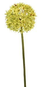 Flori artificiale Casa Masa Allium 60 cm verde