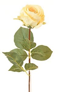 Искусственные цветы Casa Masa Роза 54 см кремовая