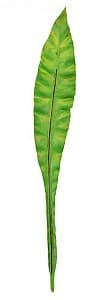 Искусственные цветы Casa Masa Лист зеленый 66 см