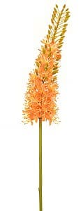 Flori artificiale Casa Masa Eremurus orange 85 cm