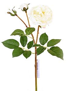 Искусственные цветы Casa Masa Роза Остин 55 см с бутонами