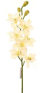 Искусственные цветы Casa Masa Орхидея Цимбидиум 94 см кремовая