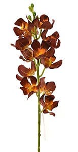 Искусственные цветы Casa Masa Орхидея Цимбидиум 47 см коричневая