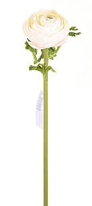 Flori artificiale Casa Masa Ranunculus 60 cm crem