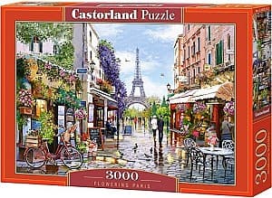 Пазлы Castorland C-300525