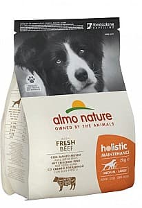 Сухой корм для собак Almo Nature HOLISTIC M-L Beef 2kg