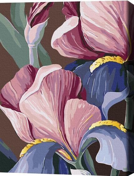 Tablou pe numere BrushMe Biluhina