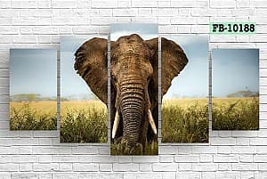 Tablou multicanvas Art.Desig Elephant FB-10188