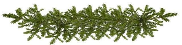 Елочная ветка Christmas 20124