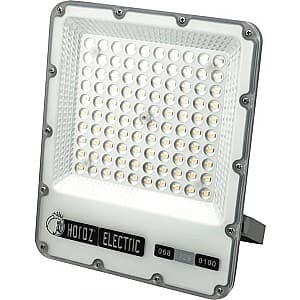 Proiector cu LED Horoz FELIS-100