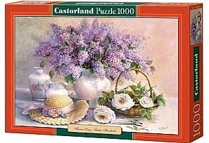 Puzzle Castorland C-102006