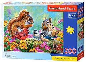 Puzzle Castorland B-222179