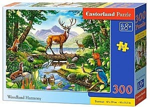 Puzzle Castorland B-030408