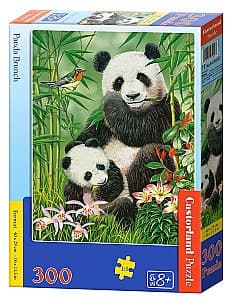 Puzzle Castorland B-030507