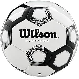 Мяч Wilson Pentagon (WTE8527XB05)