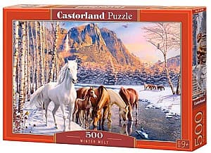 Puzzle Castorland B-53704