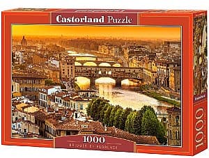 Puzzle Castorland C-104826