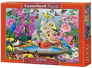 Puzzle Castorland C-200818