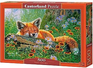 Puzzle Castorland B-53872