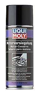 Curatare exterior auto LIQUI MOLY Motor-Conserve