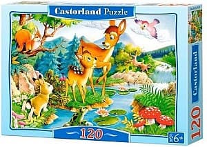 Puzzle Castorland B-12176