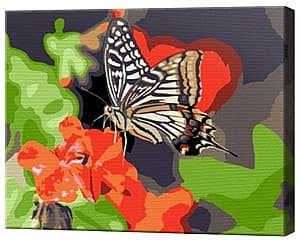 Картина по номерам Art Gallery Бабочка на цветке 20х30 см