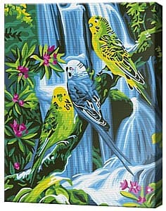 Картина по номерам Art Gallery Попугаи у водопада 20х30 см