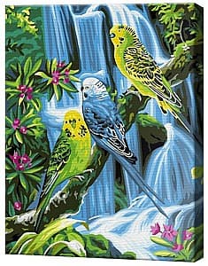 Картина по номерам Art Gallery Попугаи в джунглях, 30х40 см