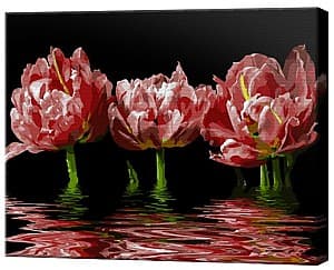 Tablou pe numere Art Gallery Reflecția florilor, 40x50 cm