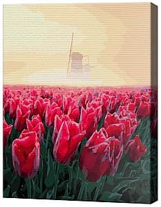 Картина по номерам Art Gallery Рассвет в поле тюльпанов, 40х50 см