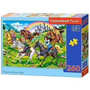 Puzzle Castorland B-27507