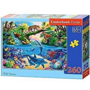 Puzzle Castorland B-27576