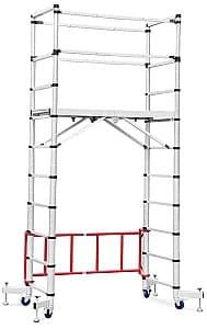 Лестница TECHNOWORKER 2x10 (DLTSL210)