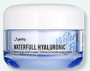 Crema pentru fata Jumiso Waterfull Hyaluronic Acid Cream