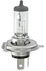 Автомобильная лампа Trifa Halogen 24V H4 75/70W Xenon Blue P43t