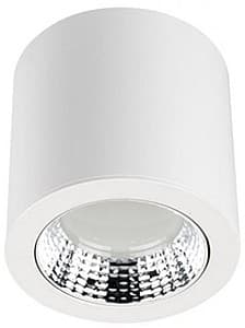 Corp de iluminat directionat LED Rightlight 12W (LBLSRF0312)