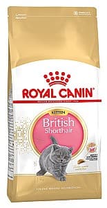 Нrană uscată pentru pisici Royal Canin KITTEN BRITISH SHORTHAIR 400g