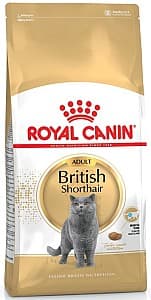 Hrana uscata pentru pisici Royal Canin British Shorthair Adult 10kg