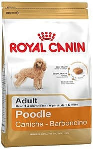 Hrană uscată pentru câini Royal Canin Poodle Adult 1.5kg