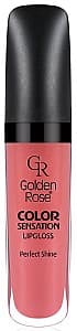 Luciu pentru buze Golden Rose Color Sensation 113 (8691190704131)