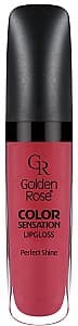 Luciu pentru buze Golden Rose Color Sensation 118 (8691190704186)