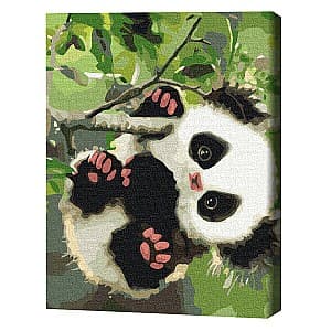 Tablou pe numere BrushMe Panda jucăușă RBS51959FC