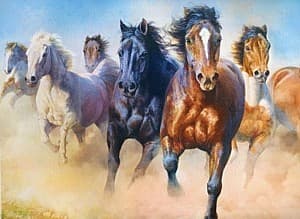 Пазлы Trefl 2000 Galloping Herd of Horses (27098)