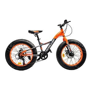 Bicicleta VeloJan THRILLER 20 orange