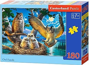 Пазлы Castorland Owl Family