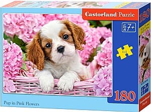 Puzzle Castorland Pup in Punk Flowers