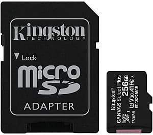 Карта памяти Kingston Canvas Select+ (SDCS2/256GB)
