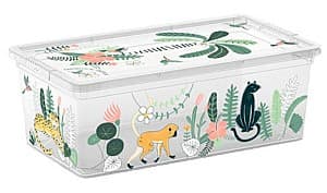 Cutie pentru depozitare KIS C-box Tropical XS (38590)